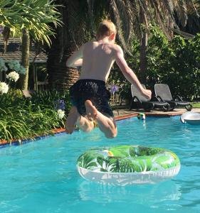 a young man jumping into a swimming pool at Colonial House Motel in Kerikeri