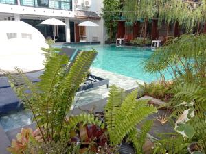 a swimming pool with a bunch of plants next to a building at Anodard Hotel Chiang Mai in Chiang Mai