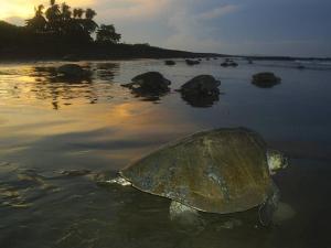 Loodusmaastik hosteli lähedal