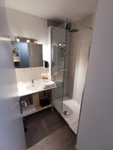 W łazience znajduje się umywalka i prysznic. w obiekcie Hotel Ambotel w mieście Ambérieu-en-Bugey