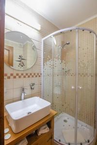 a bathroom with a shower and a sink and a tub at Hanul Ancutei in Arămoaia