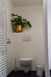 een badkamer met een toilet en een plant aan de muur bij De Slaapmuts in Winsum