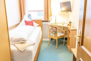 TV a/nebo společenská místnost v ubytování Hotel Der Seehof