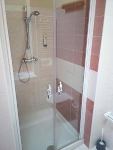 a shower with a glass door in a bathroom at Chalet Maso Fradea Family Resort in Castello Tesino