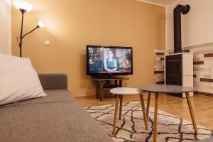Televízia a/alebo spoločenská miestnosť v ubytovaní Apartmán Pod borovicí