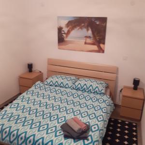 1 dormitorio con 1 cama y una foto en la pared en Apartmani Polanščak, en Krapinske Toplice