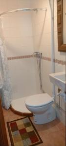 een badkamer met een toilet, een douche en een wastafel bij ALL IN ONE. TODO EN UNO. in Bérriz