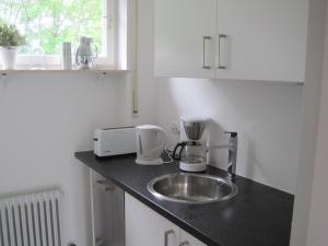 um balcão de cozinha com um lavatório e uma mesa de mistura em Appartement Panoramablick em Baden-Baden