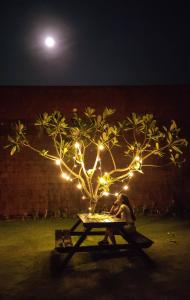 a man sitting at a picnic table with a tree with lights at Arthigamya Spa & Resort in Gokarna