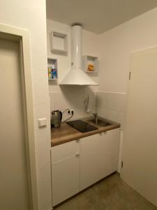 Virtuve vai virtuves zona naktsmītnē Apartment Hannover