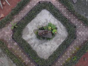 un plantador con una planta en medio de un jardín en Hotel Los Monteros en Ciudad Victoria