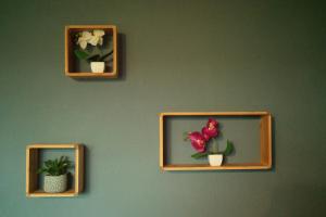 tres fotos de plantas en una pared verde en Park Atlantis De Haan, en De Haan