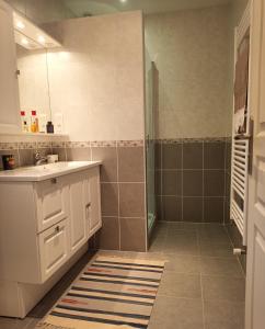 een badkamer met een wastafel en een douche bij Le Gite des Deux Lacs in Planchez