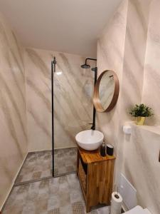 a bathroom with a sink and a mirror at Apartament Central Iulia in Sibiu