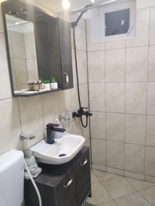 ein Badezimmer mit einem Waschbecken, einem Spiegel und einem WC in der Unterkunft La Monica 2 - Cazare Straja - Lupeni - Retezat - Parang in Lupeni