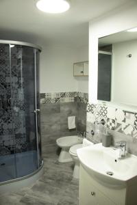 a bathroom with a shower and a toilet and a sink at La Podul Cetatii in Făgăraş