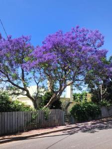 Gallery image of Settlers Cottage in McLaren Vale +25 photos