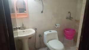 a small bathroom with a toilet and a sink at Mufis Homestay, Emerald Compound, New Palam Vihar-2 in Gurgaon +29 photos