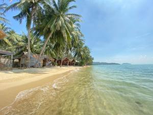 a beach with palm trees and the ocean at Castaway Beach Bungalows in Srithanu