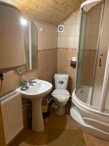 Villa Maria في يابلونيتسيا: حمام مع مرحاض ومغسلة ودش +21 صورة