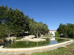 Baseinas apgyvendinimo įstaigoje Quinta do Julião arba netoliese