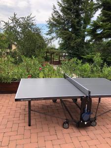 Stolní tenis v ubytování Madárlátta Vendégház nebo okolí