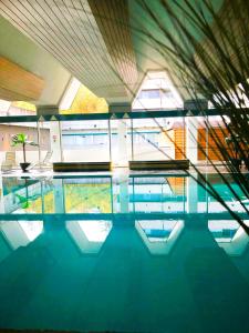 a swimming pool with blue water in a building at RuheZeit - inclusive Pool & Sauna in Bad Harzburg