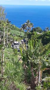 Imagen de la galería de Chambre vue sur mer entre Grande Anse et Manapany, en Petite Île