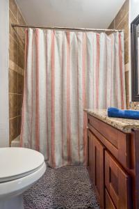 a bathroom with a shower curtain and a toilet at East Downtown Bungalow in Houston +40 photos