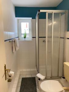 a bathroom with a shower and a toilet and a sink at Hotel und Restaurant Landhaus Veranstaltungshaus in Hohenwestedt