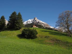 una casa en una colina con una montaña en el fondo en Chalet Iris, en Adelboden