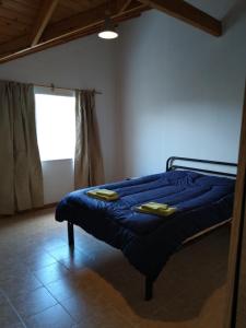 a bedroom with a bed with blue sheets and a window at Apart Estepa in El Calafate +1 photo