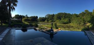 Bazén v ubytování Lily Pond Country Lodge nebo v jeho okolí
