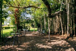 Zahrada ubytování Banyan Tree