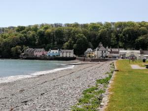 a rocky shoreline with houses and the water at Coldstream Cottage in Dale