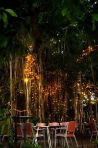 Zahrada ubytování Banyan Tree