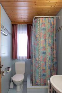 a bathroom with a toilet and a shower curtain at Apartment Madlaina in Samnaun