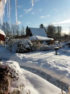 a yard covered in snow with a house in the background at Augšistaba Beči in Vecumnieki