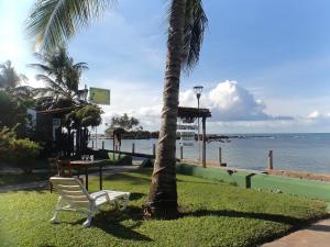 a white chair sitting next to a palm tree next to the ocean at Chez Max Pousada in Morro de São Paulo