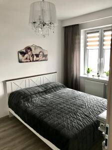 a bedroom with a bed and a chandelier at Apartament na Skrzypka in Cieszyn