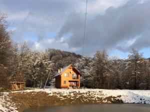 Дом у озера during the winter