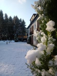 Gästehaus Falkenhof in de winter
