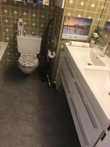 アローザにあるRothornblick 2 Zimmer Wohnungのトイレと洗面台付きのバスルーム