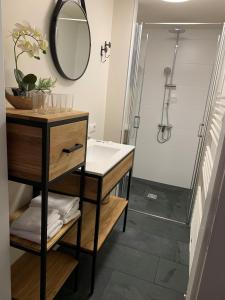 ein Bad mit einem Waschbecken und einer Dusche mit einem Spiegel in der Unterkunft Stockers kleines Dorfhotel in Deutsch Goritz