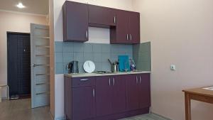 克拉斯諾達爾的住宿－Апартаменты на Карякина 5，一间厨房,里面装有紫色橱柜
