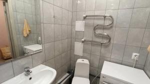 克拉斯諾達爾的住宿－Апартаменты на Карякина 5，一间带水槽、卫生间和镜子的浴室