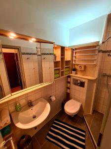 a small bathroom with a sink and a toilet at Apartment am Wendelinus Bad Kissingen in Bad Kissingen