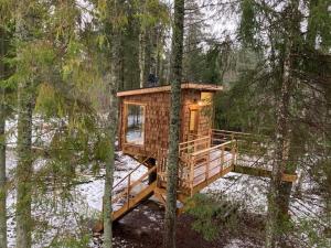 a tree house in the middle of a forest at Tiigrisilma Treehouse in Kohila