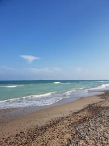 a sandy beach with the ocean in the background at Casa Coqueta in Almarda