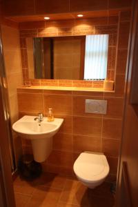 a bathroom with a sink and a toilet and a mirror at Pension Wunsch in Jaroměř +11 photos